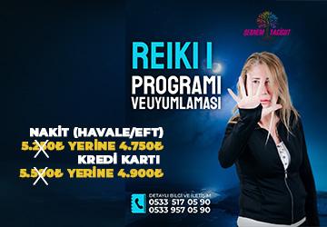 ✨ REIKI 1. SEVİYE PROGRAMI